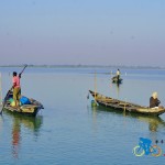 chilika lake (16)